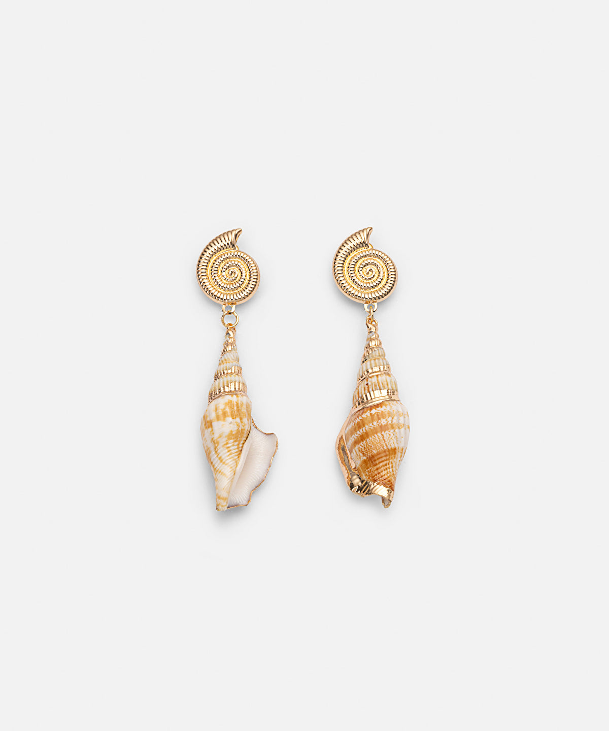 Dangling Seashell Earrings