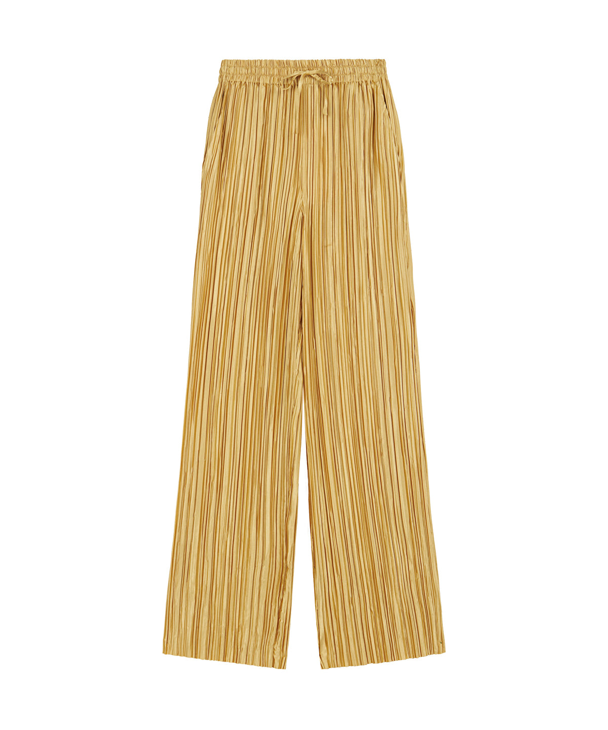 Zoomed Pleated Wide-Leg Trousers
