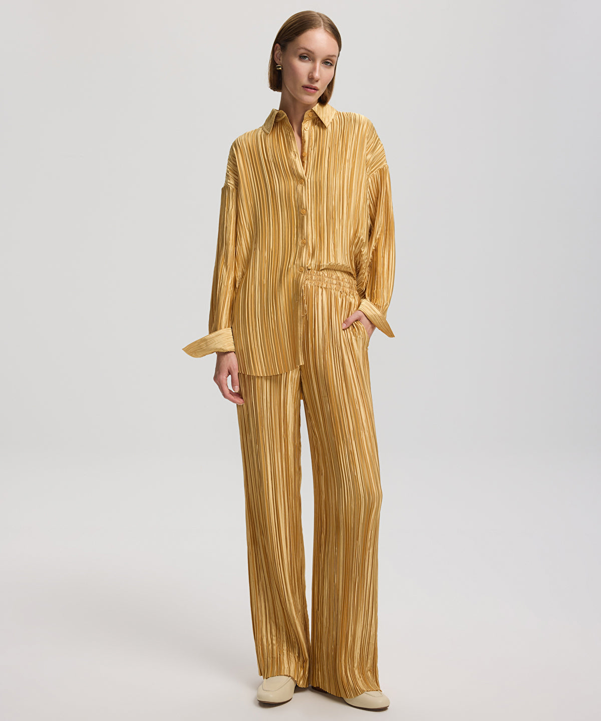 Zoomed Pleated Wide-Leg Trousers