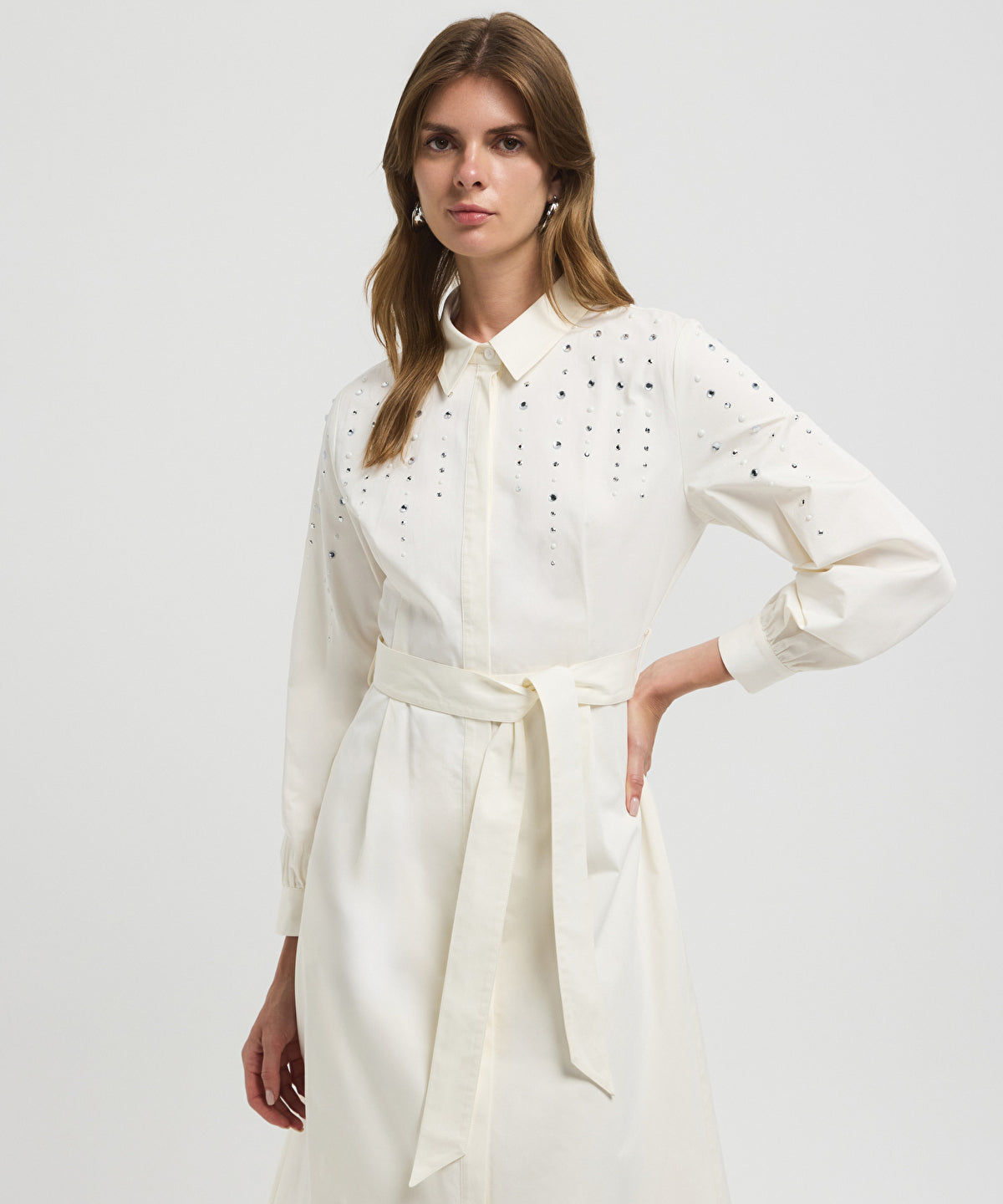 Zoomed Embellished Poplin Dress