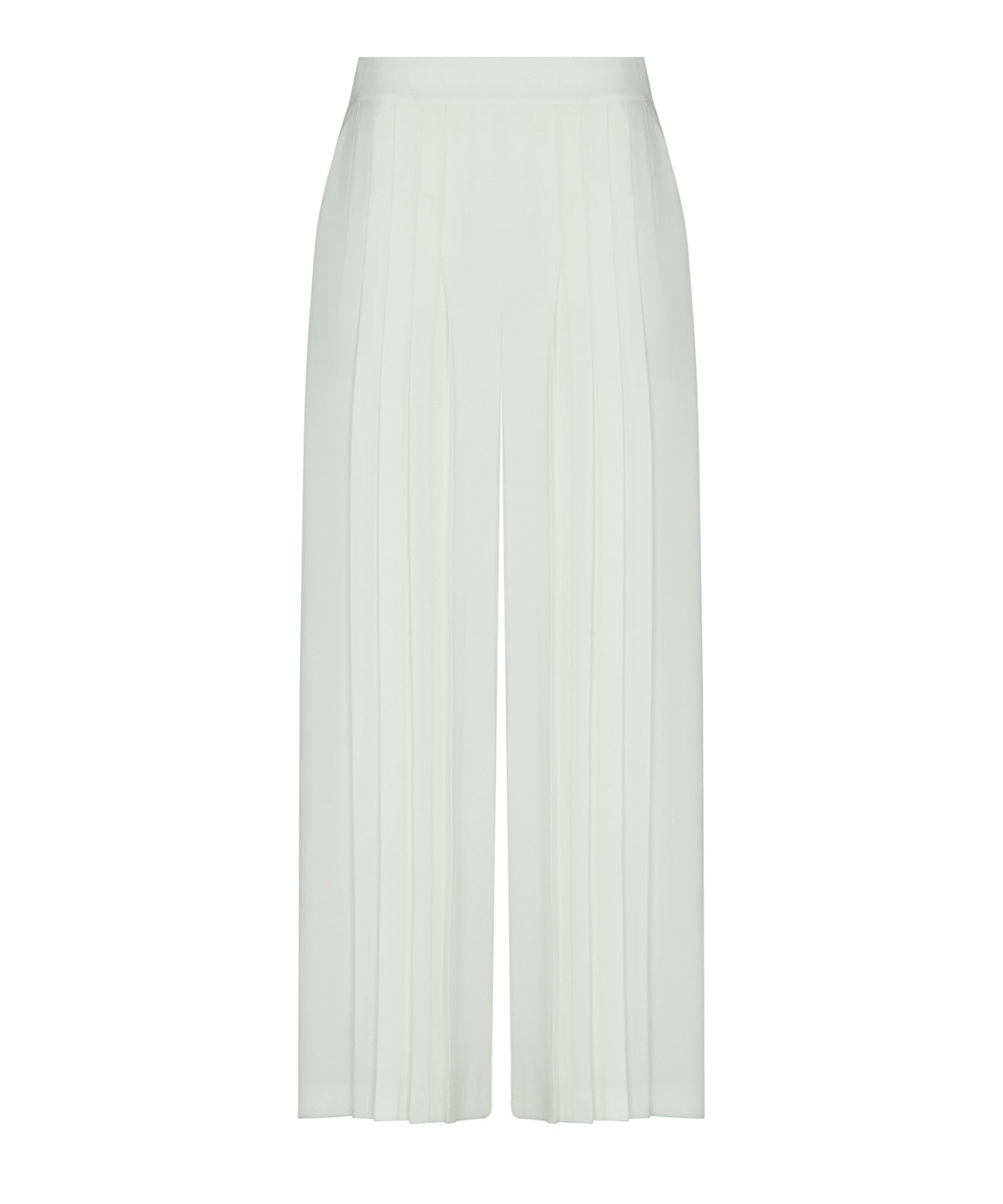 Zoomed Pleated Wide-Leg Trousers