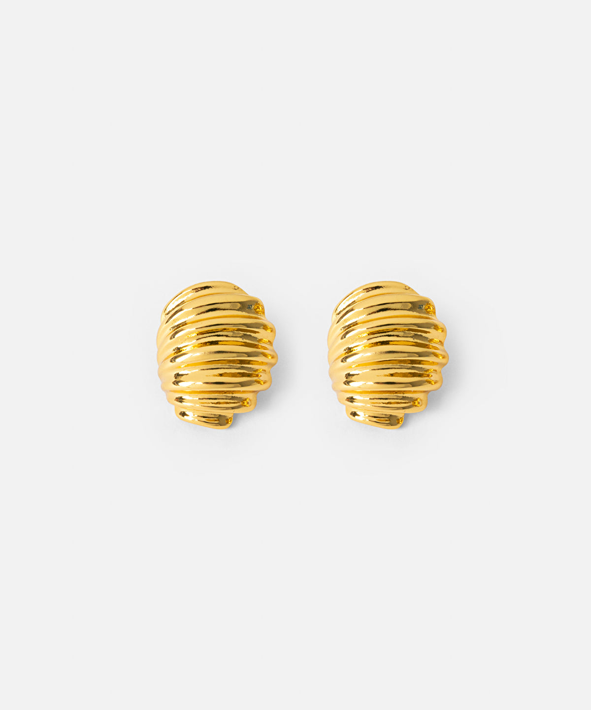 Zoomed Textured Earrings