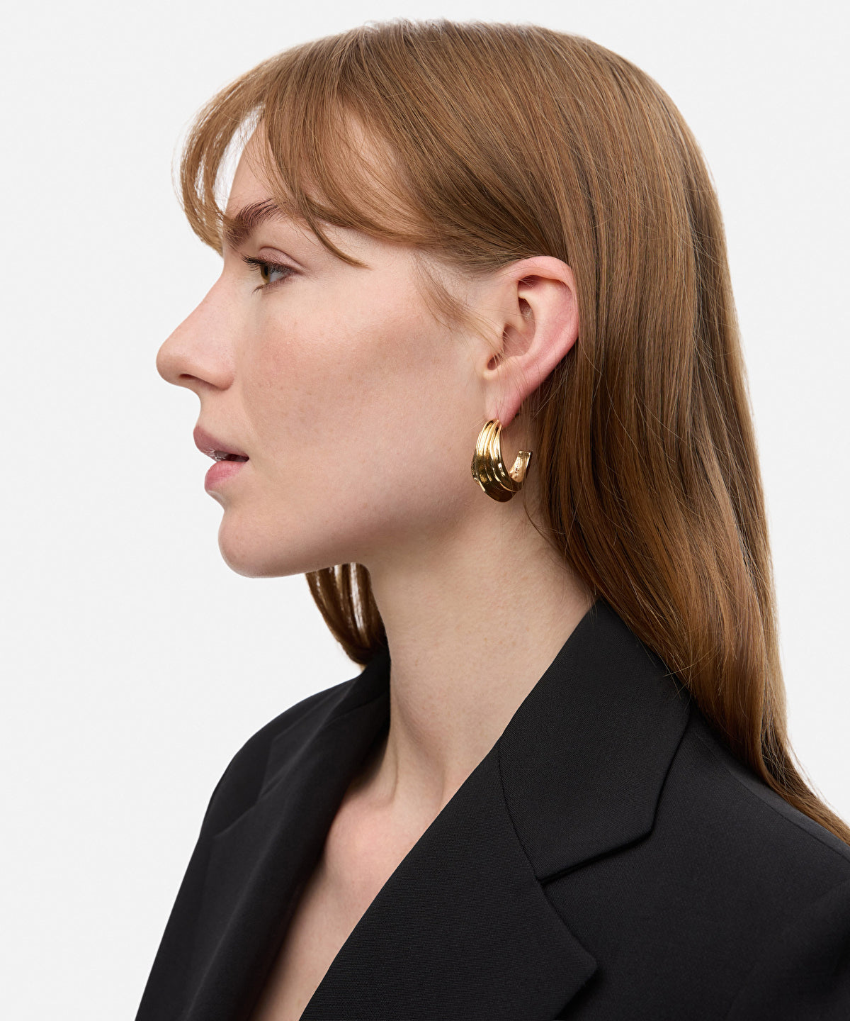 Two Pairs of Earrings