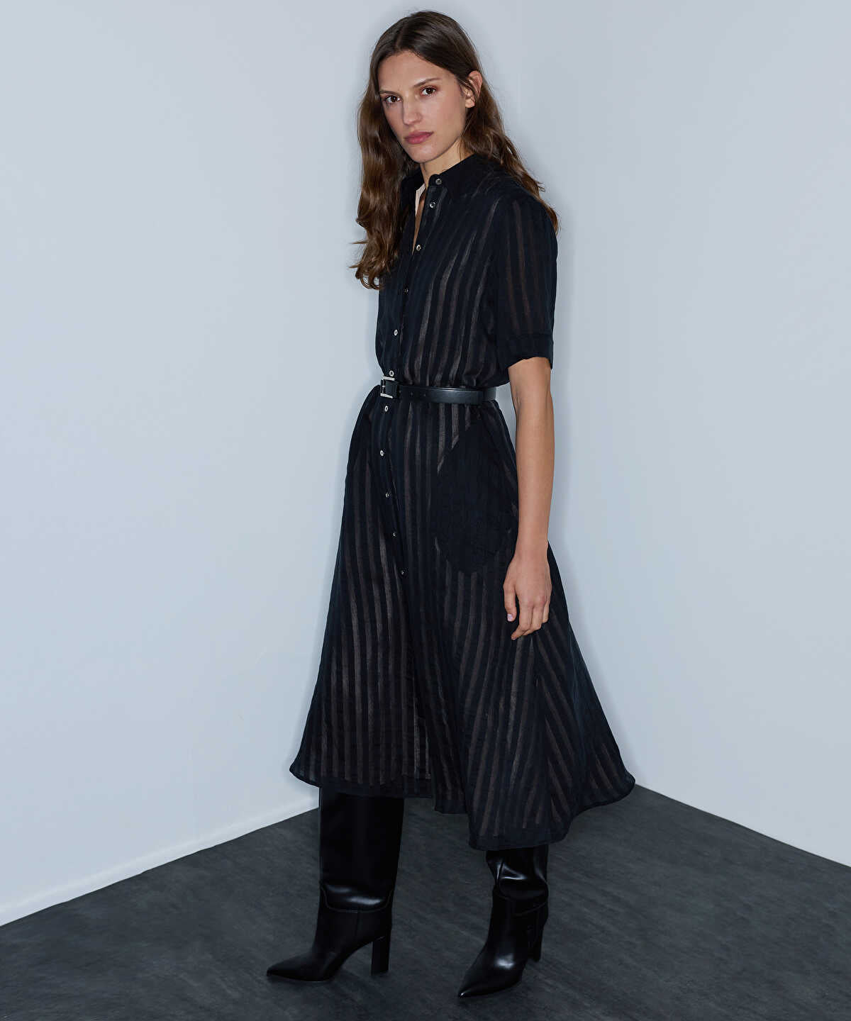 Sheer-Stripe Belted Dress