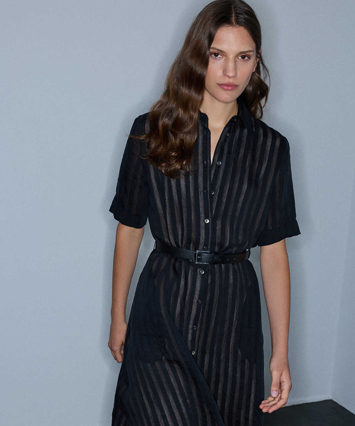 Sheer-Stripe Belted Dress