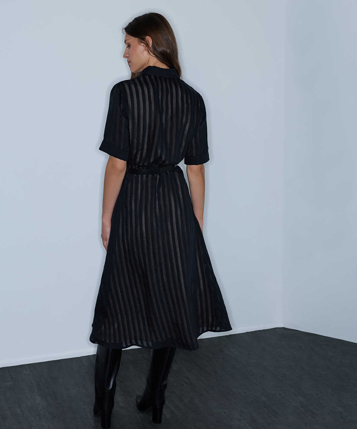 Sheer-Stripe Belted Dress