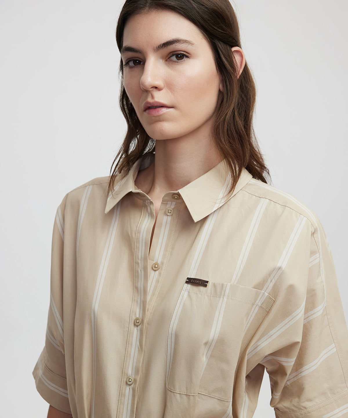 Zoomed Striped Poplin Dress