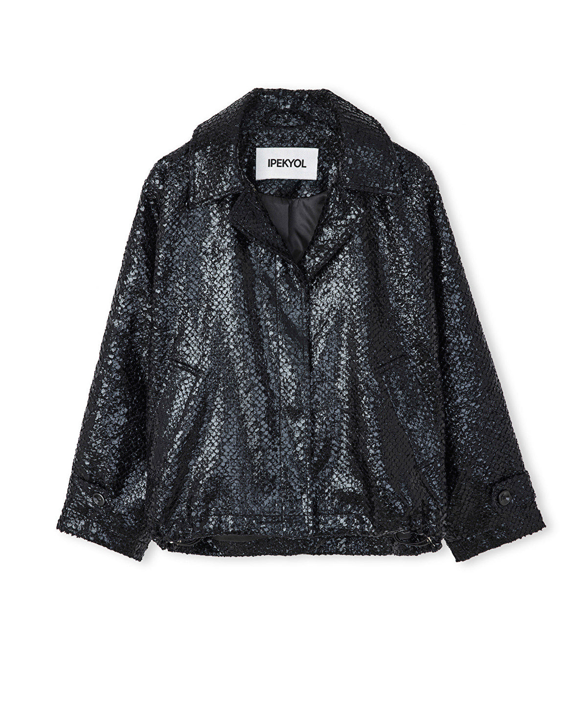 Zoomed Shiny Coat