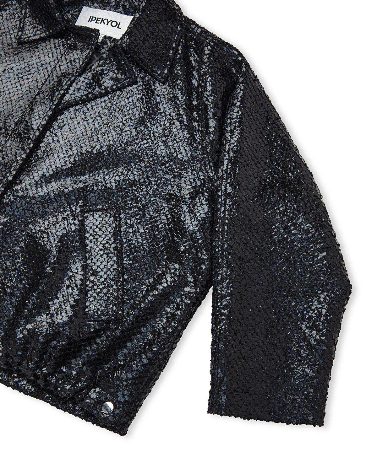 Zoomed Shiny Coat