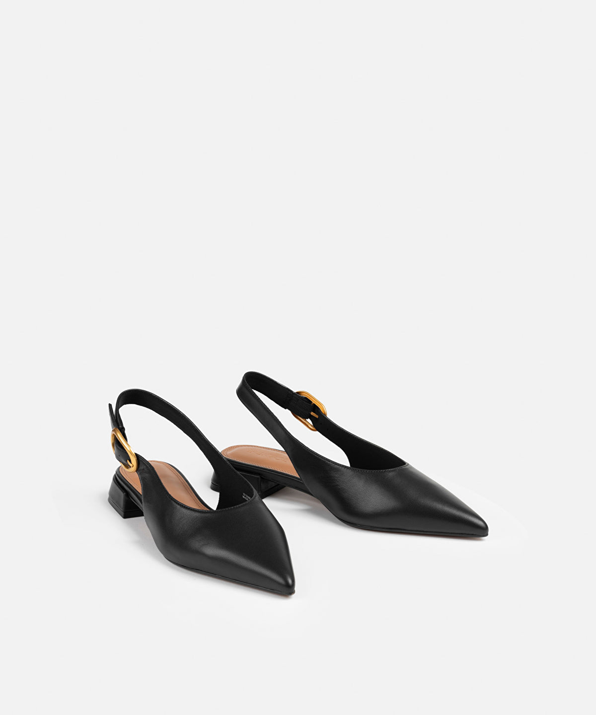 Zoomed Pointed Toe Flats
