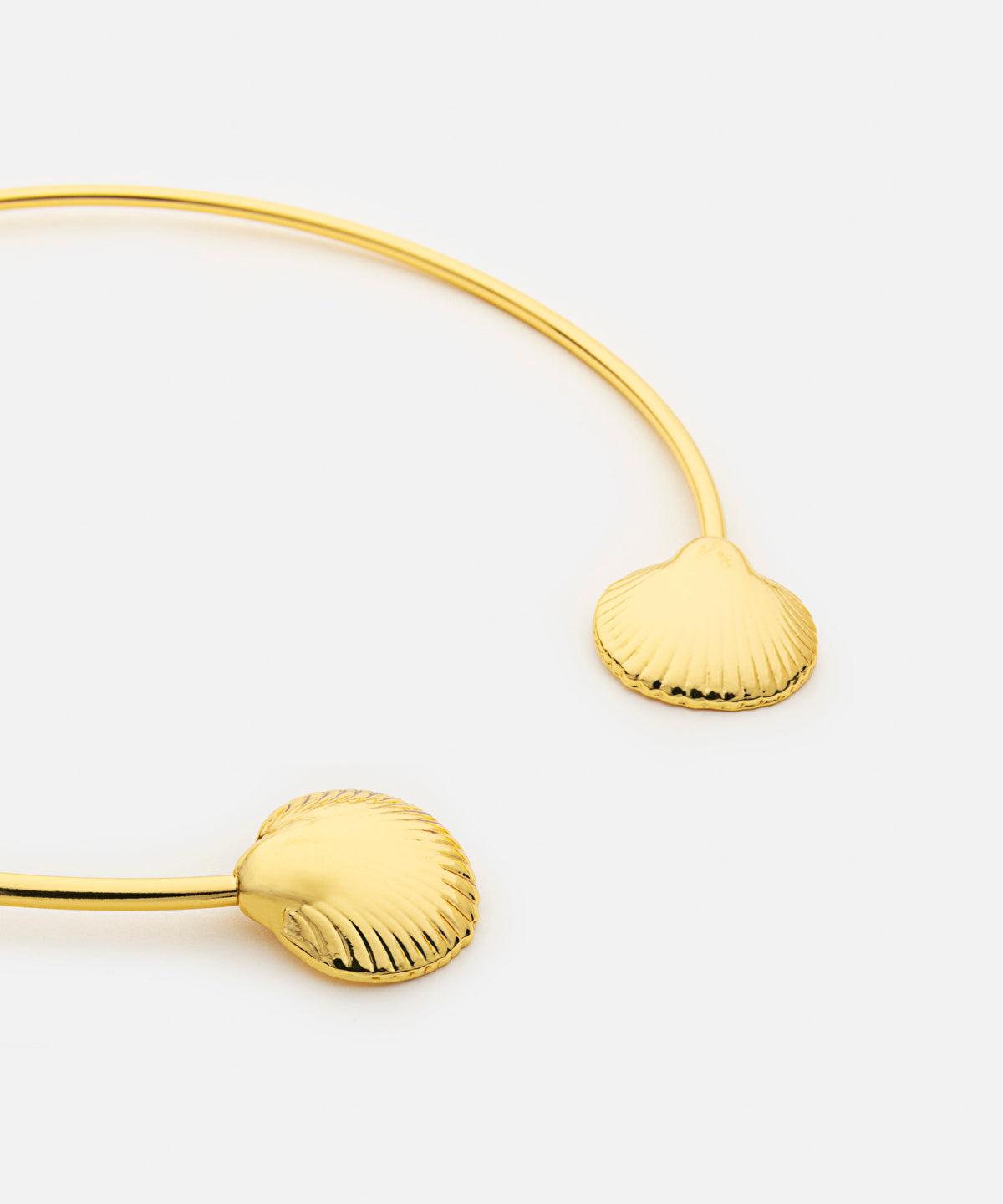 Seashell necklace
