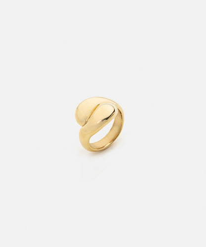 Stainless steel spiral ring