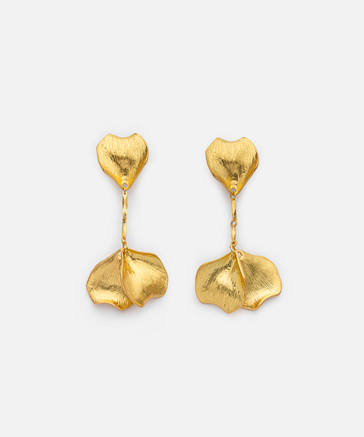Zoomed Dangle Earrings