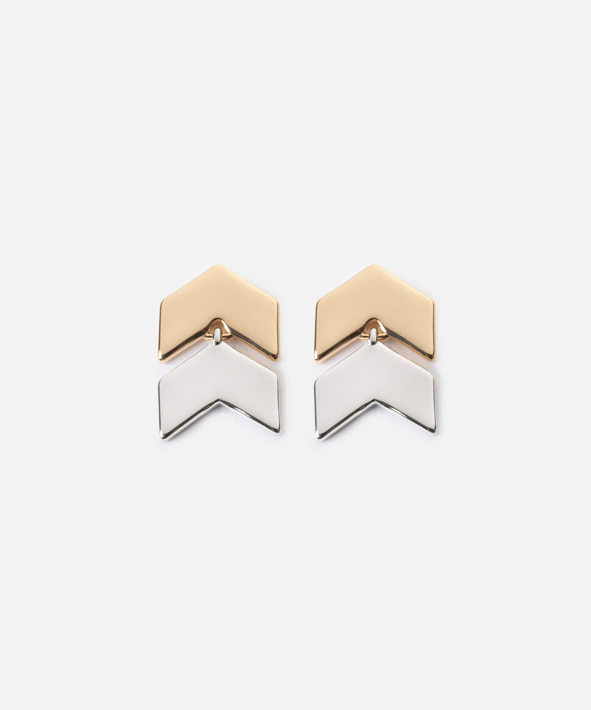 Zoomed Two-Tone Earrings