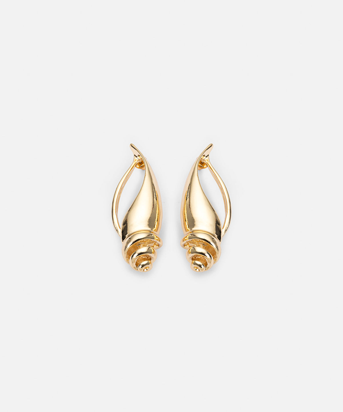 Zoomed Seashell Earrings