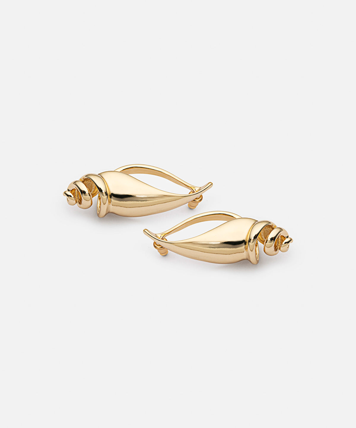 Zoomed Seashell Earrings