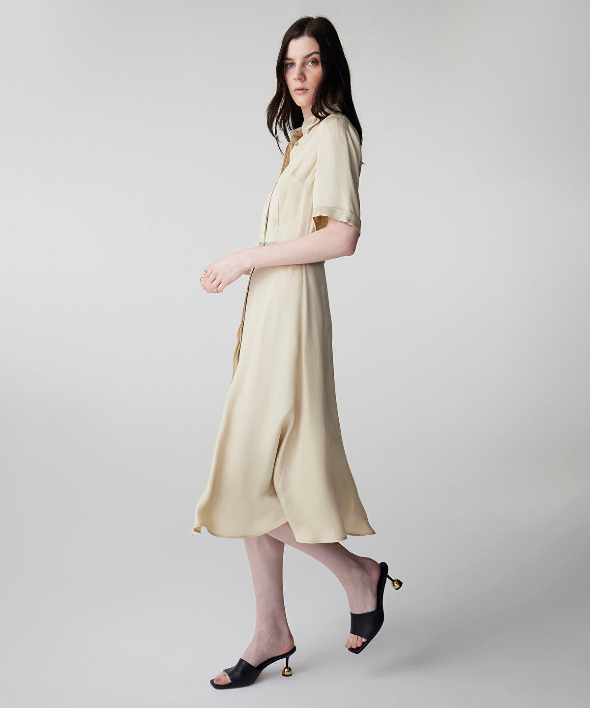 Zoomed Belted Cupro Dress