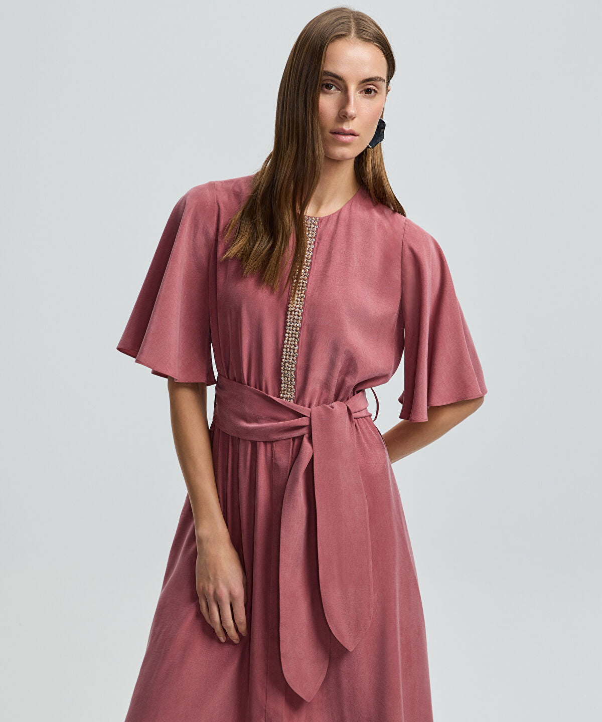Zoomed Embroidered Cupro Dress