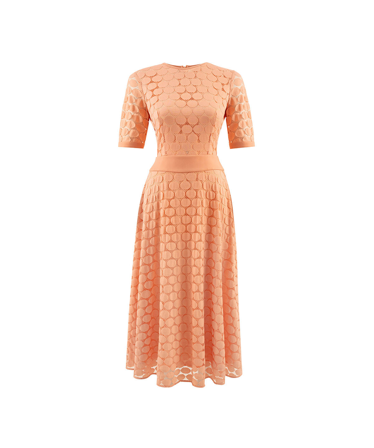 Zoomed DRESS