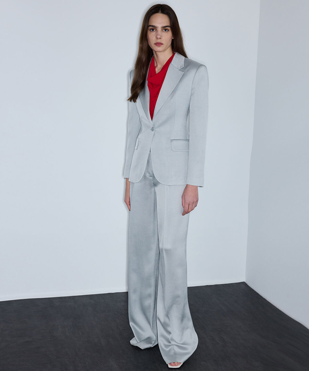 Zoomed Shiny Tailored Trousers