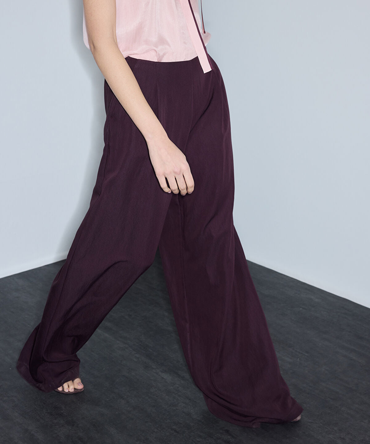 Zoomed Pleated Wide-Leg Trousers