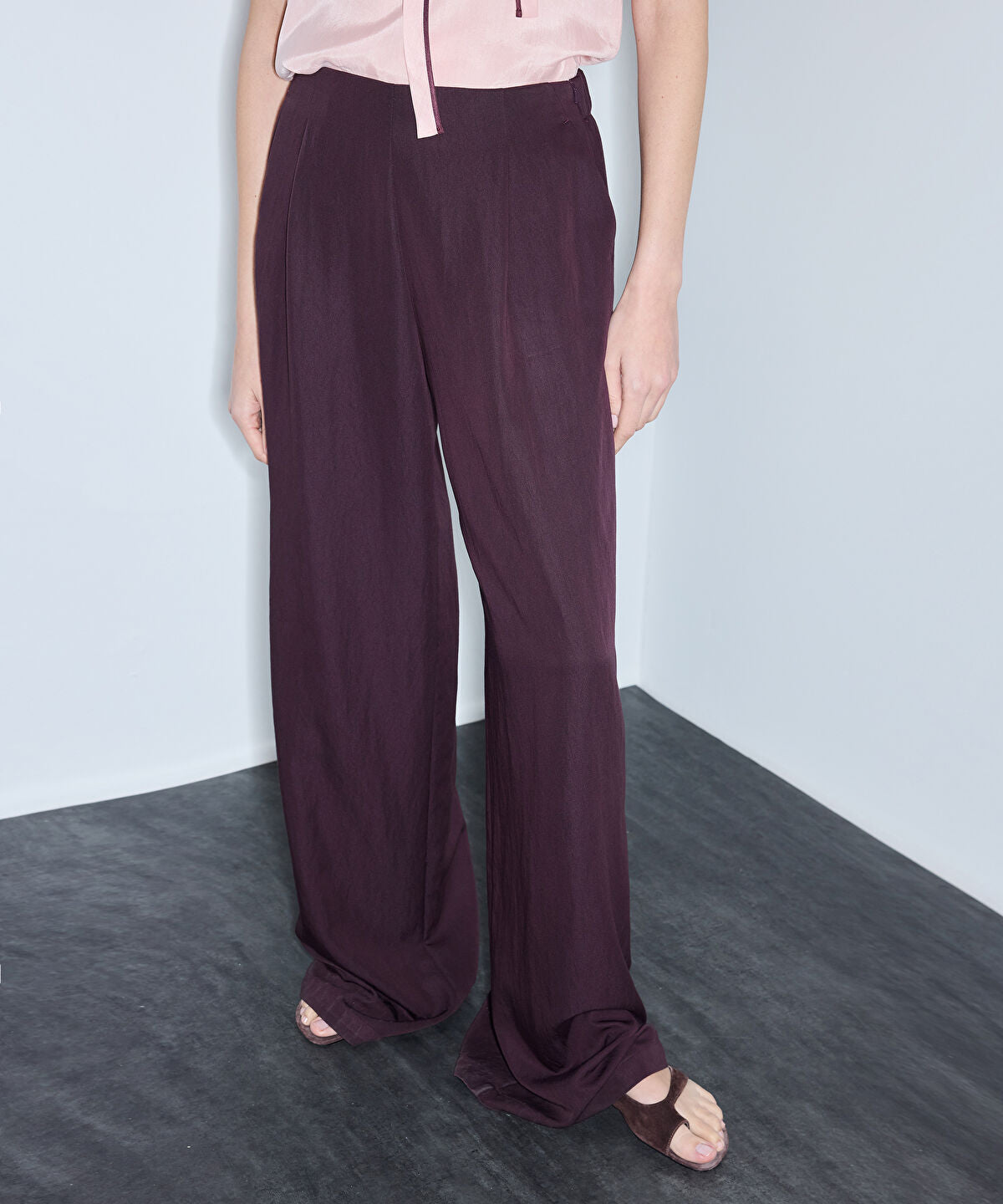 Zoomed Pleated Wide-Leg Trousers