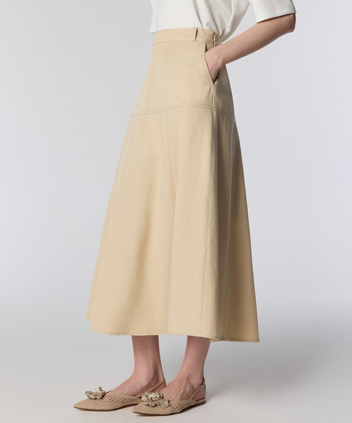 Zoomed SKIRT