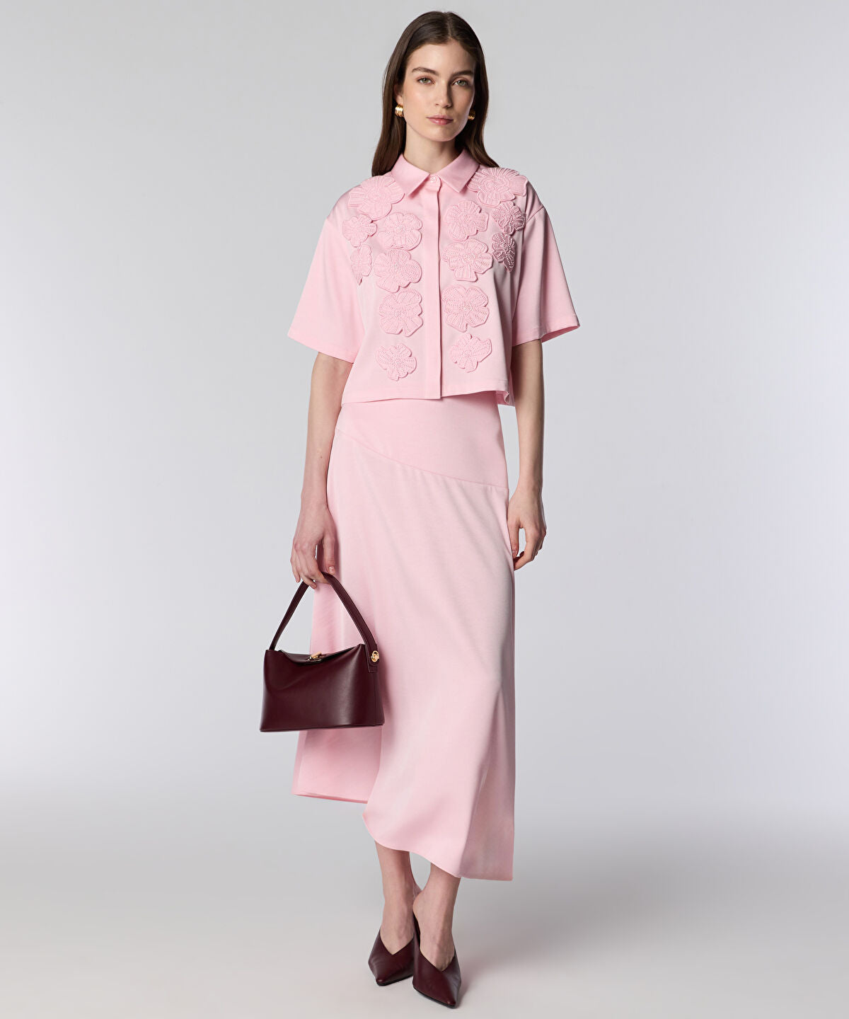 Zoomed SKIRT