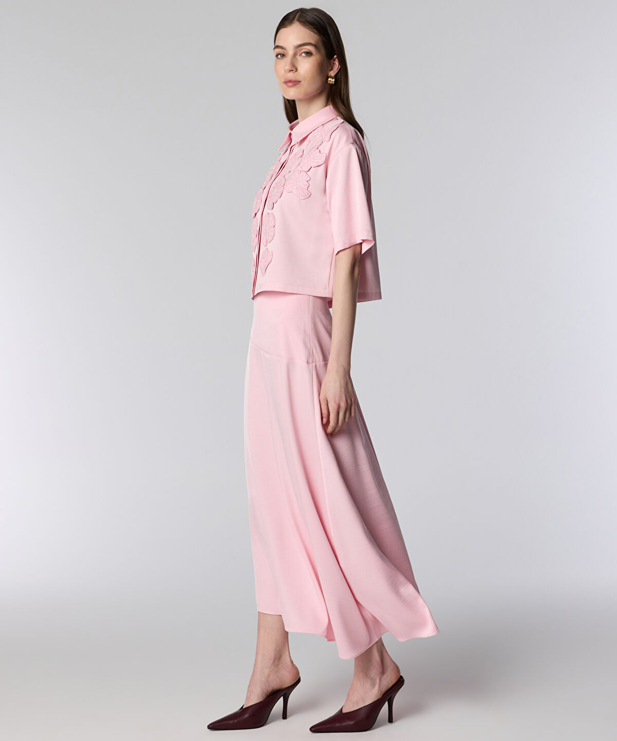 Zoomed SKIRT