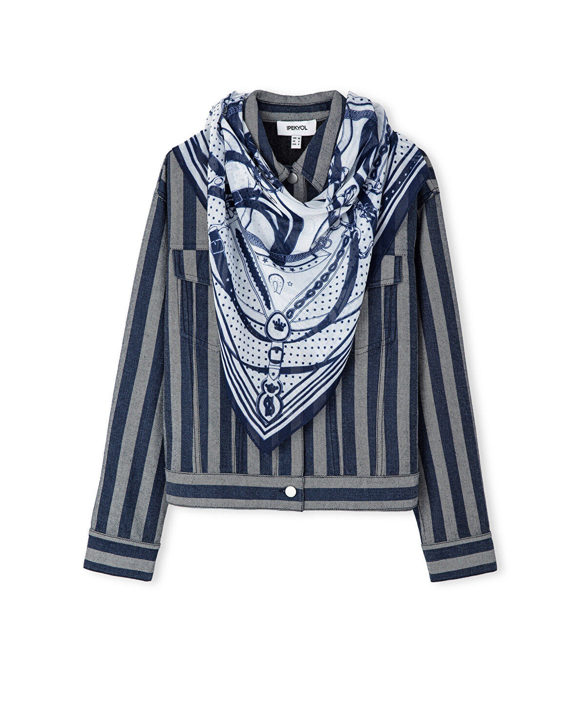 Zoomed Striped Denim Jacket