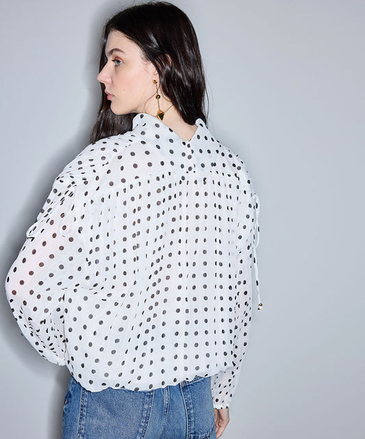 Polka-Dot Chiffon Blouse