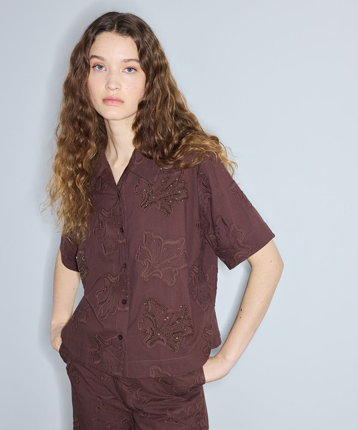 Zoomed Embroidered Blouse