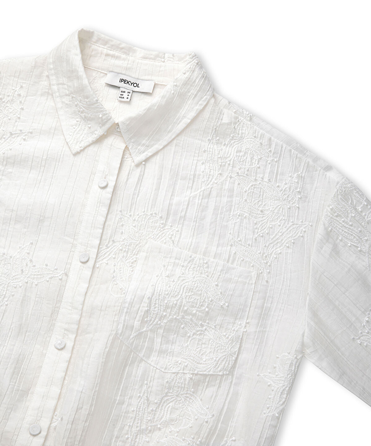 Zoomed Embroidery Applique Shirt