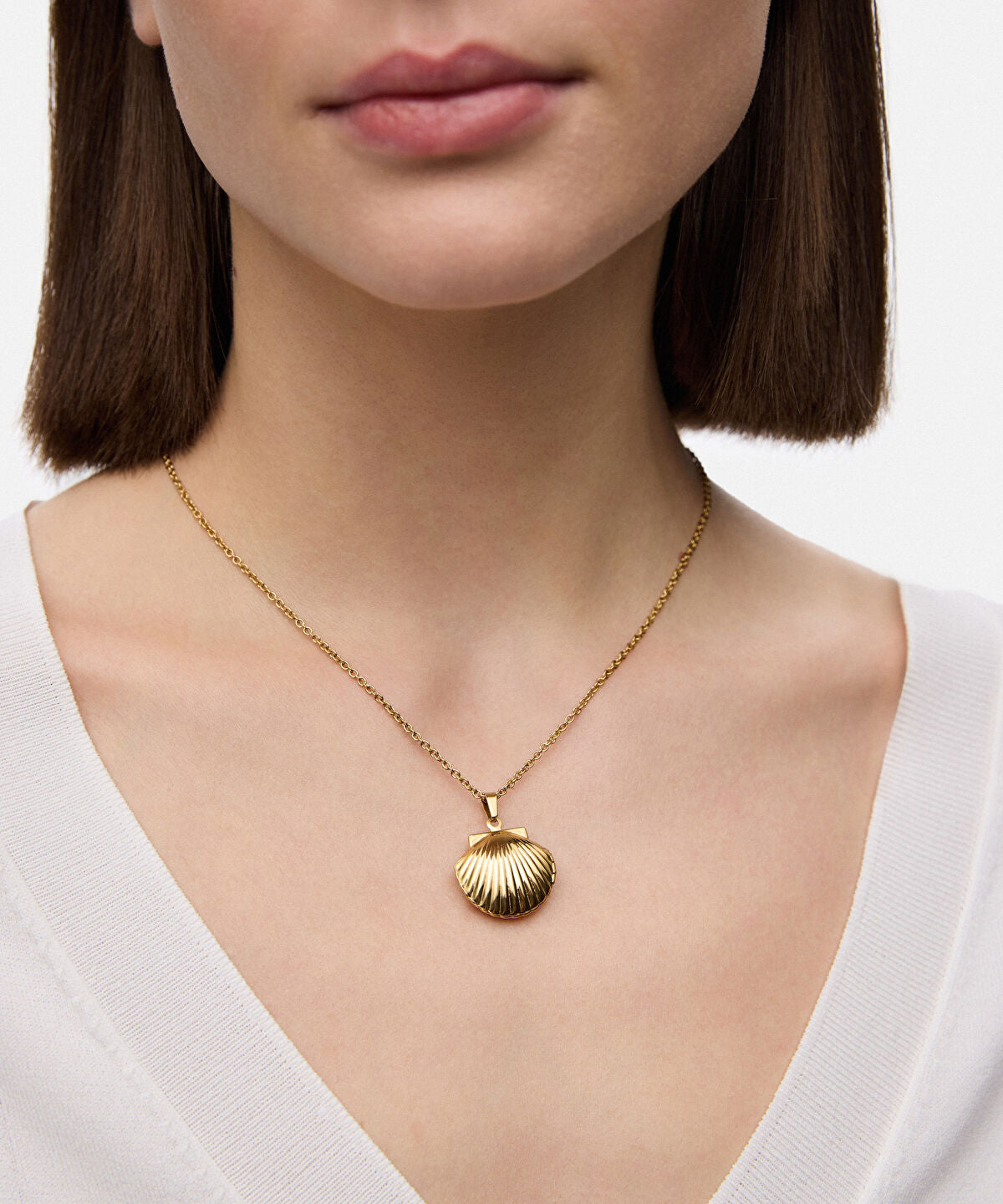 Zoomed Stainless Steel Seashell Necklace