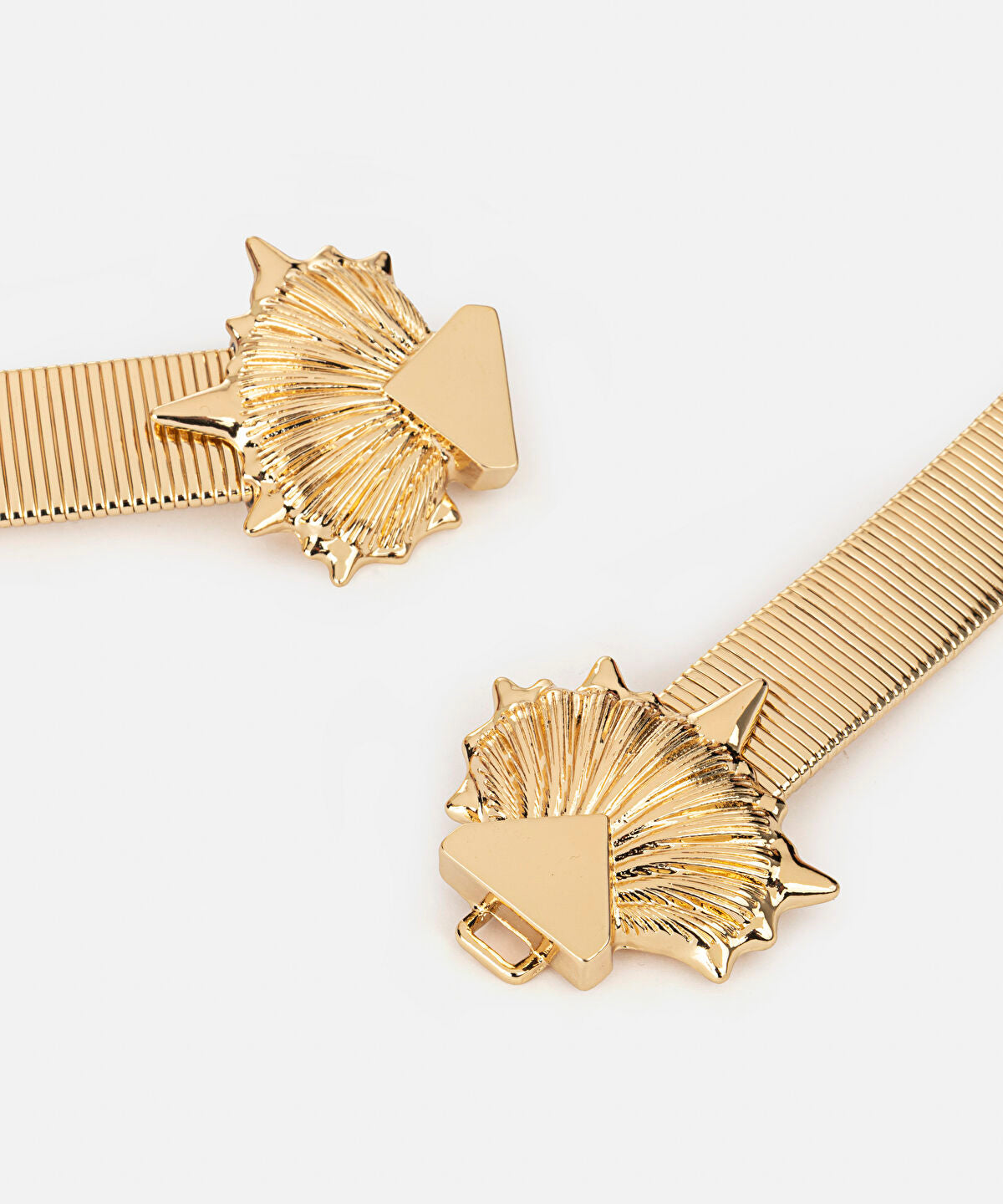 Zoomed Metal Seashell Buckle Belt