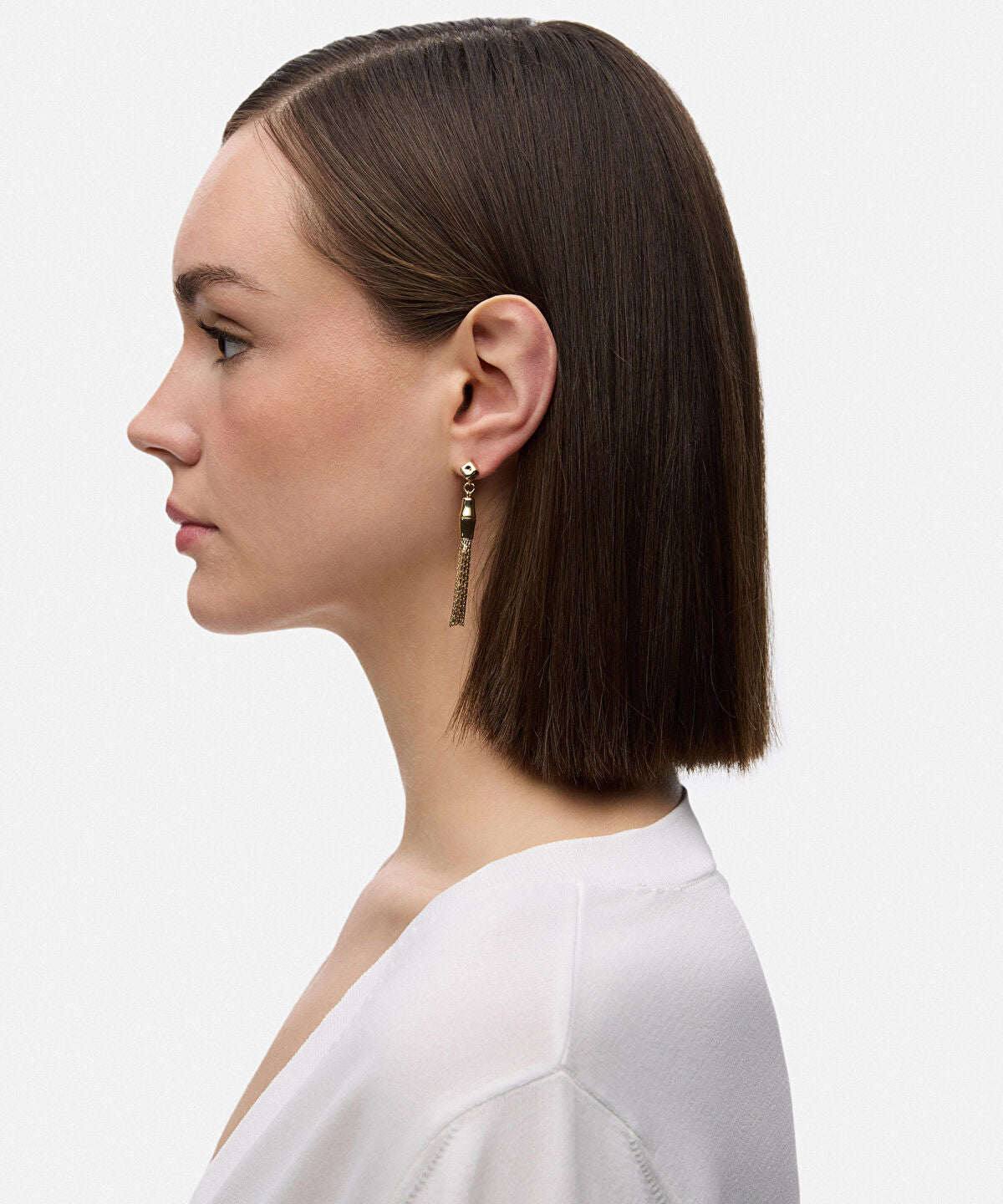 Zoomed Dangle Earrings