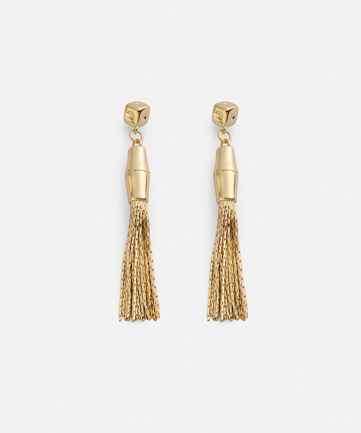 Zoomed Dangle Earrings