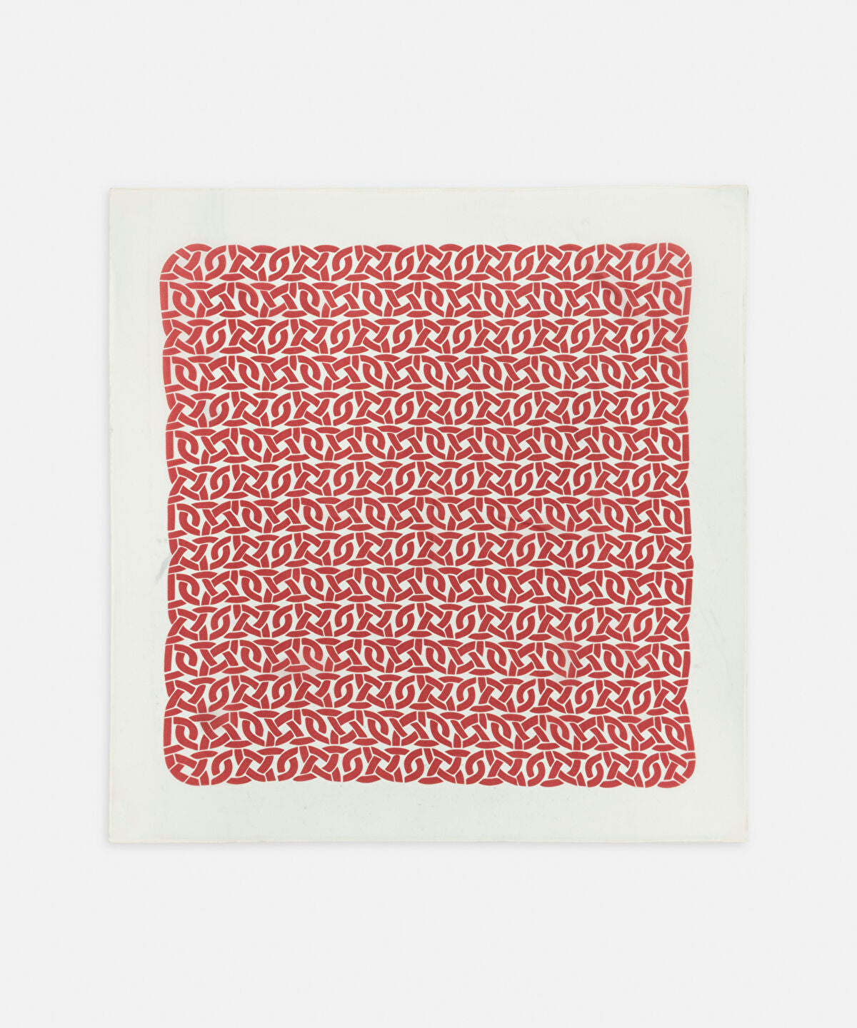 Zoomed Printed Silk Scarf
