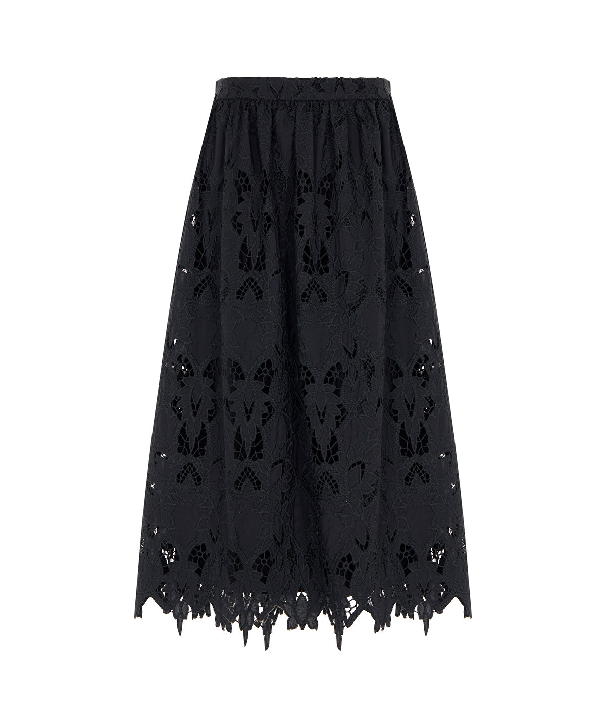Zoomed SKIRT