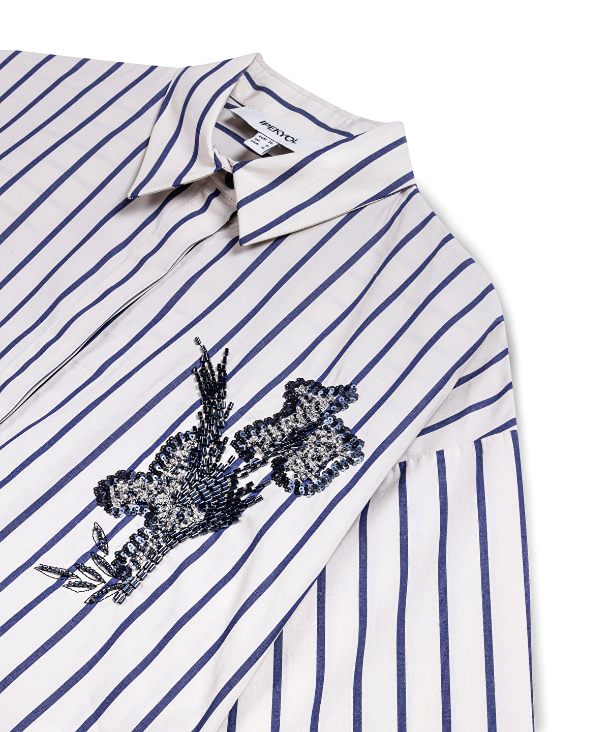 Embroidered Stripe Poplin Shirt