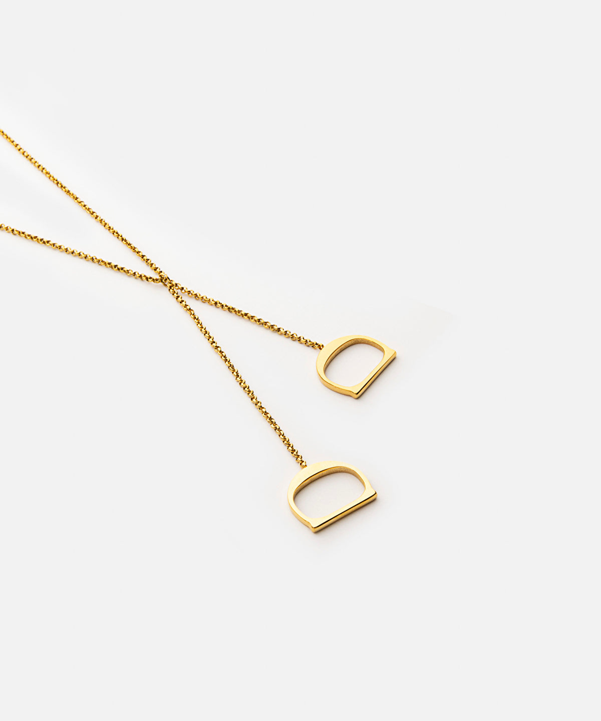 Zoomed Long Chain Necklace