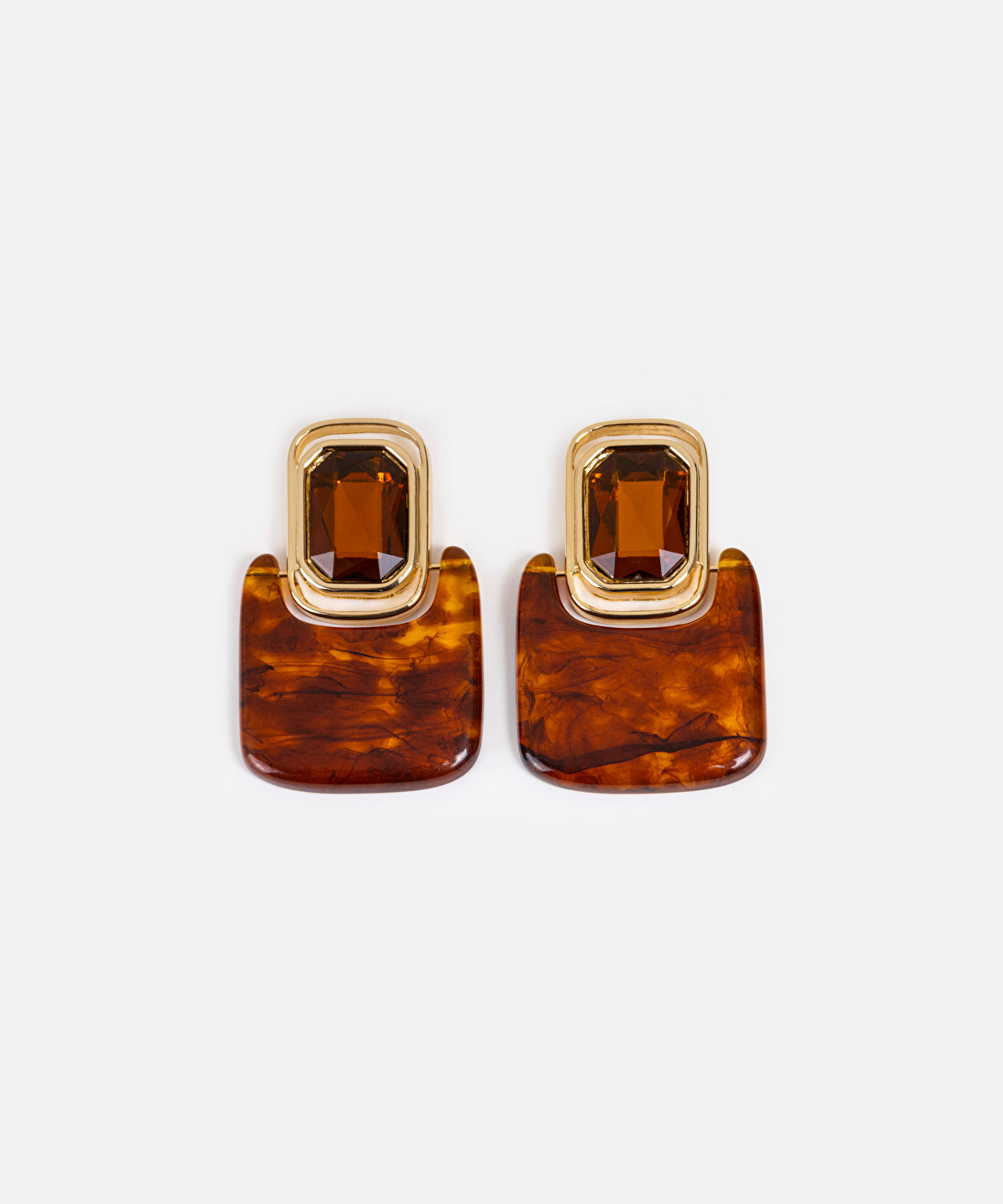 Zoomed Resin Earrings