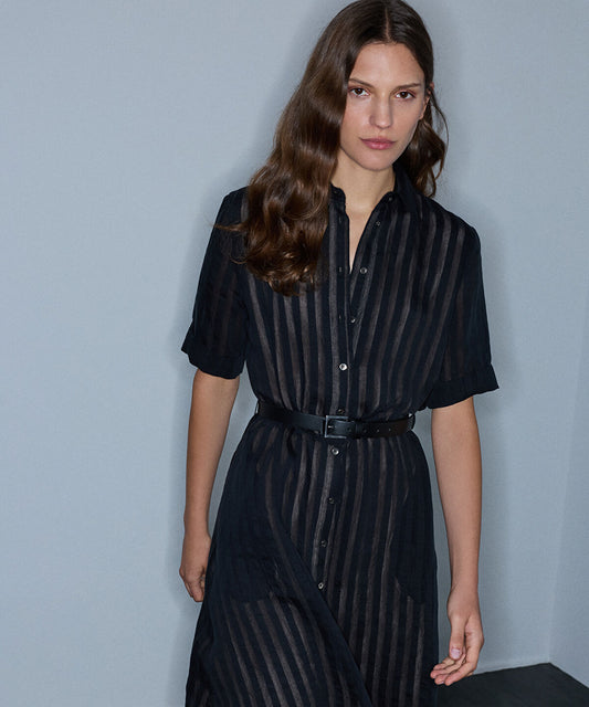 Sheer-Stripe Belted Dress