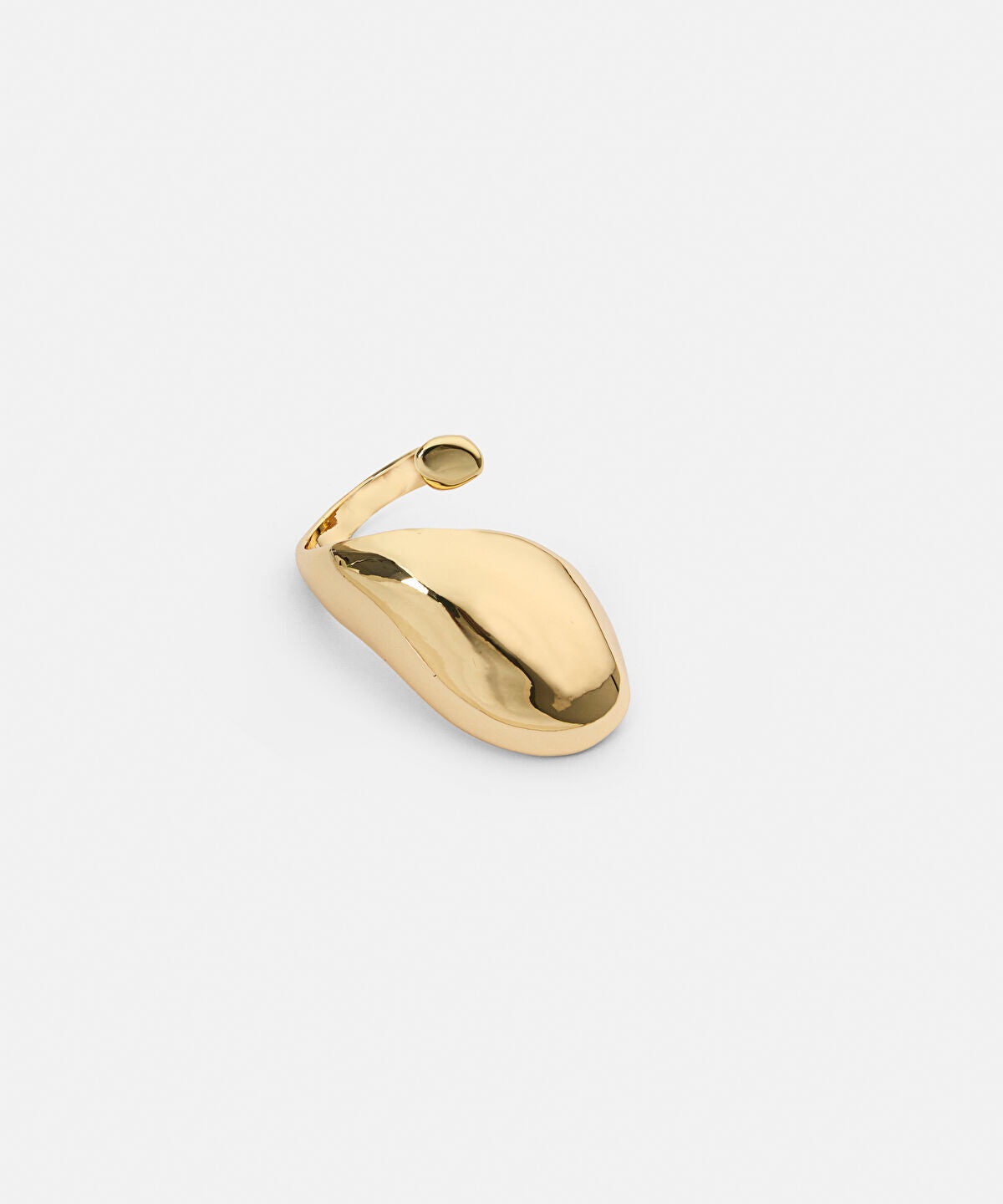 Zoomed Voluminous Metal Ring