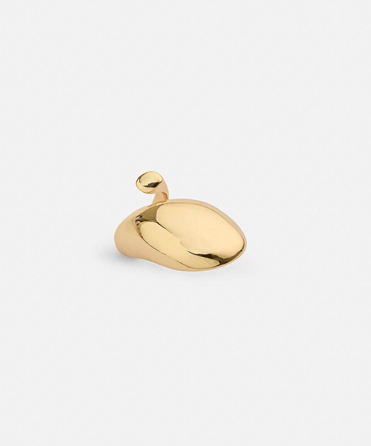 Zoomed Voluminous Metal Ring