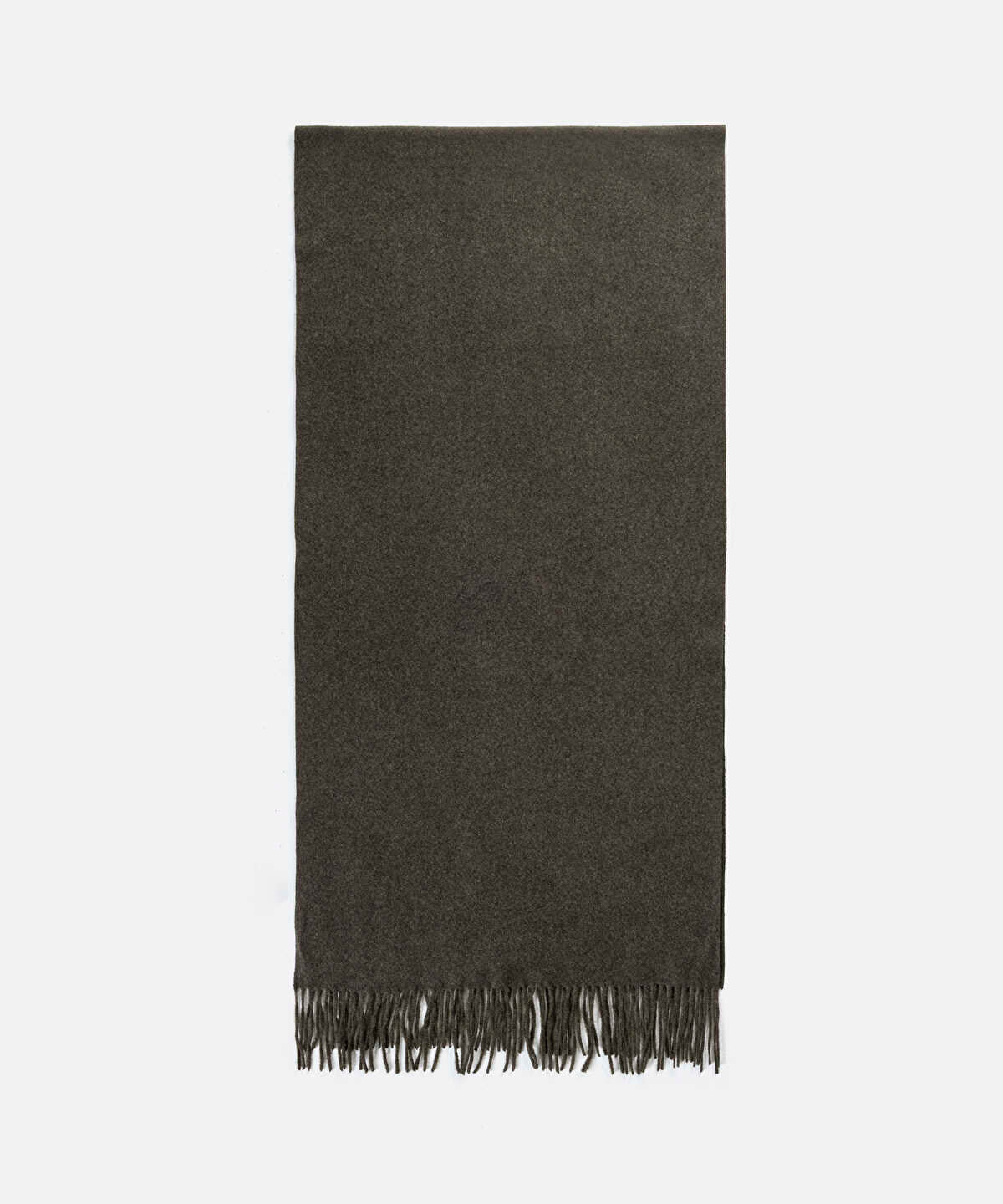 Zoomed Basic Fringed Scarf